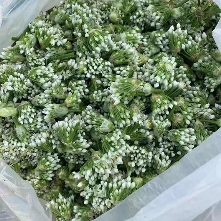 顺丰包邮自家韭菜花现摘现发净重一斤二斤三斤装