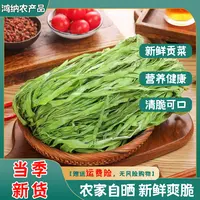 安徽义门贡菜厂家直发80g*3包冬季火锅食材贡菜干响菜脆嫩贡菜