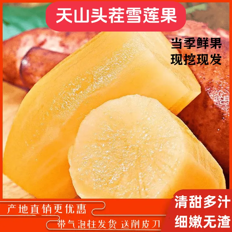 【现挖现发】云南高山头茬红土雪莲果新鲜脆甜多汁细嫩无渣