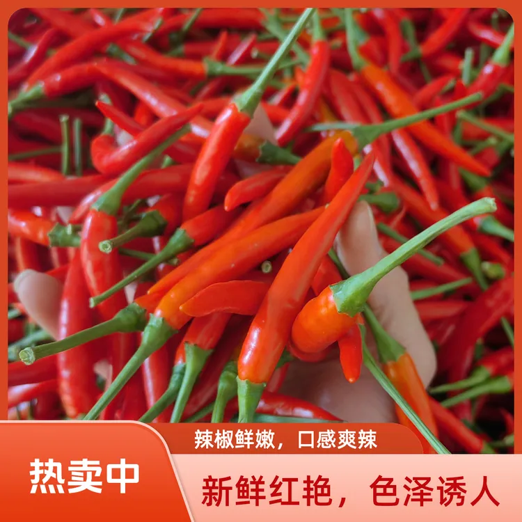 【超级补贴】新鲜小米椒特辣小米辣朝天椒红辣椒指天椒泡椒红辣椒