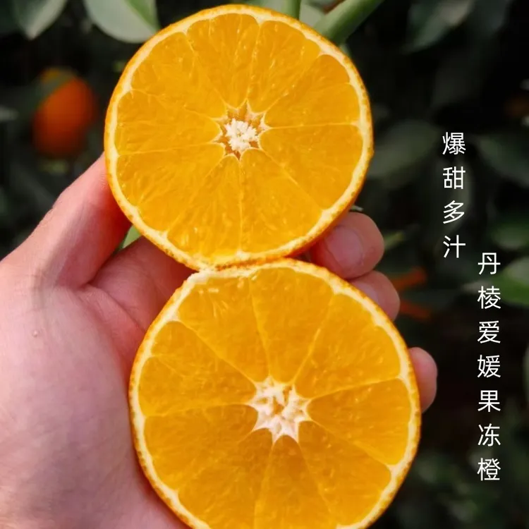 爱媛多汁果冻橙38号四川眉山当季新鲜5斤净重皮薄爆甜多汁现摘