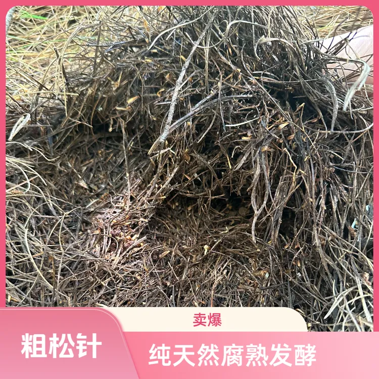 高山无杂质发酵粗松针腐叶土兰花专用养花营养土营养土养花专用