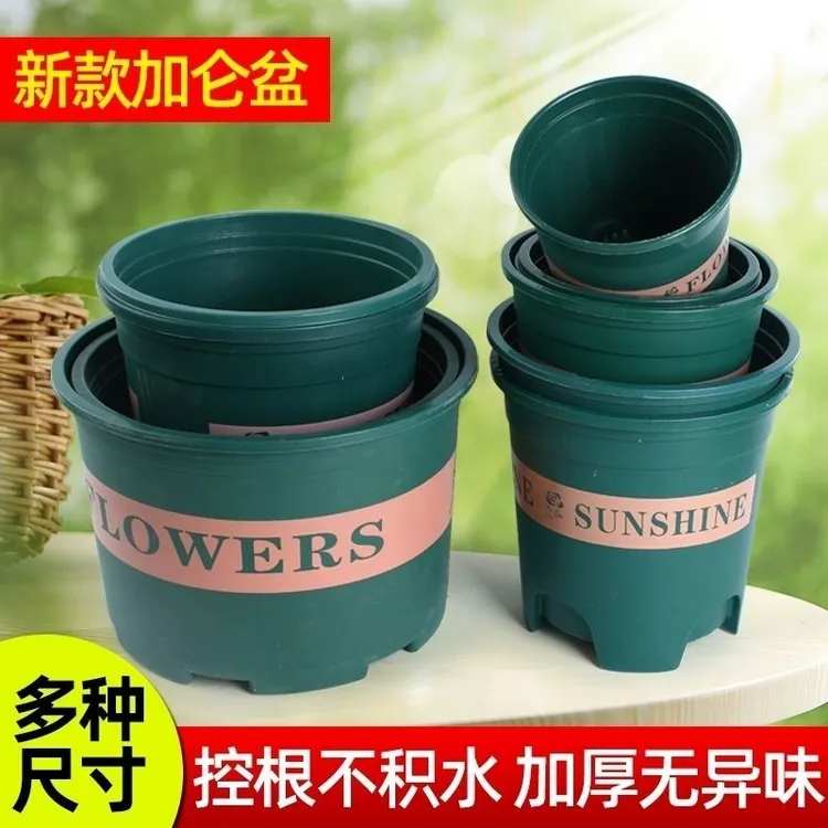 加仑花盆矮加仑盆控根花盆种花耐晒树脂圆形花盆玫瑰月季盆栽家用