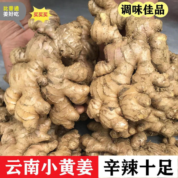 【正宗云南高山小黄姜】鲜姜老姜土姜嫩姜原生态0.5-9斤品质精选