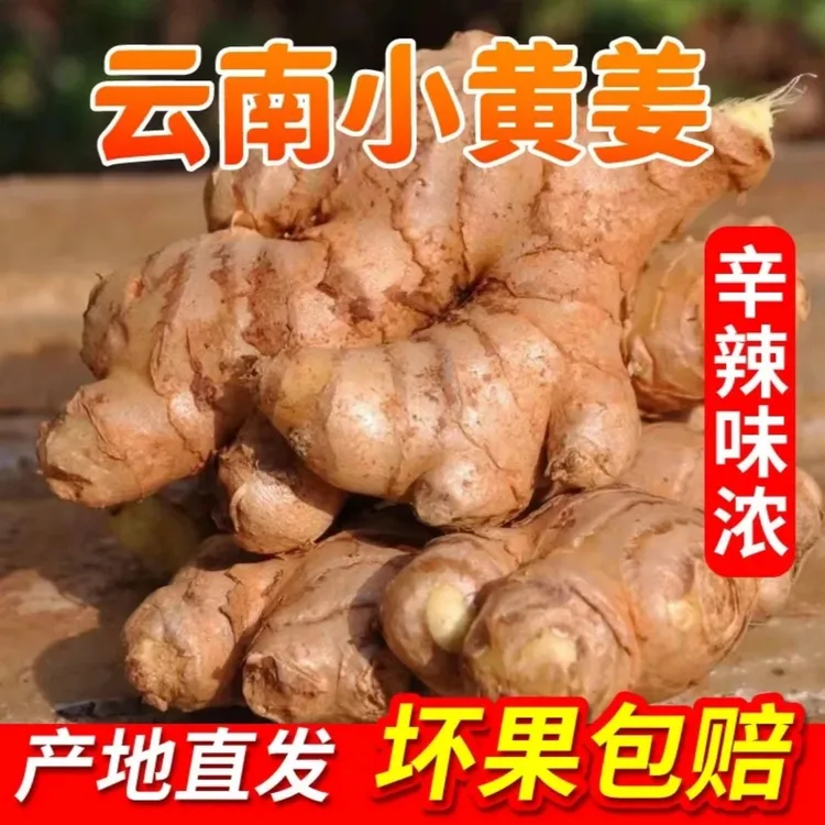 【太实惠】正宗精品云南小黄姜生姜0.5-9斤老姜新鲜嫩姜现货现发辣