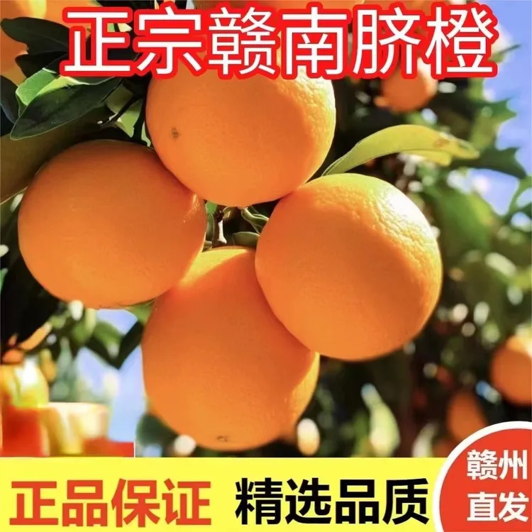 赣南脐橙20斤精果新鲜榨汁孕妇儿童补充维生素C现采现发香甜皮薄