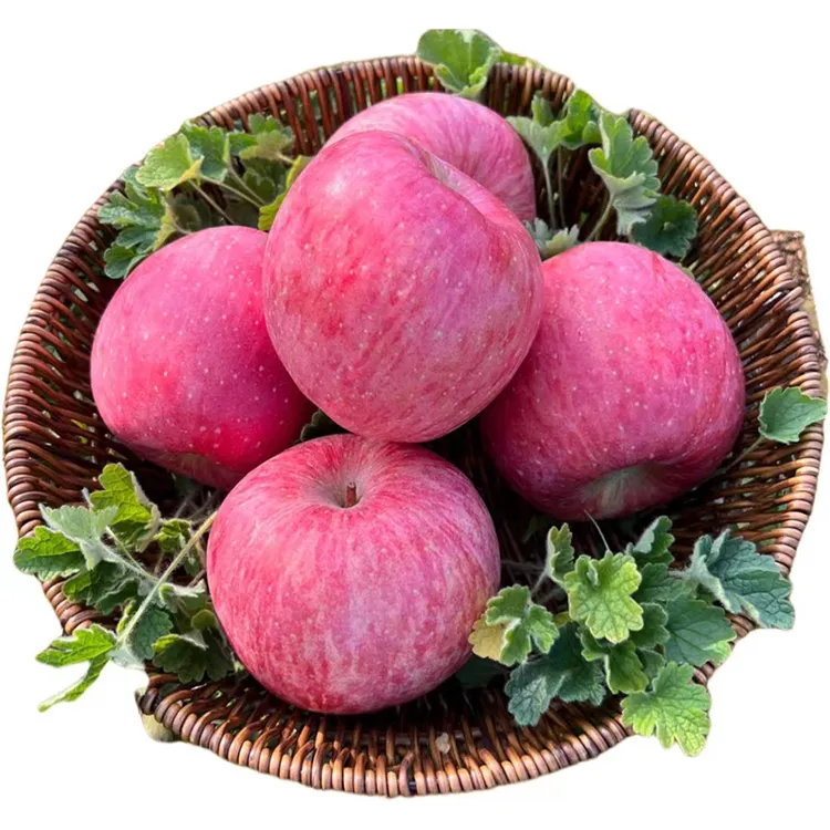 4当季2025新果延安洛川苹果净重8.5斤(+-0.2)中果(18-20颗左右)