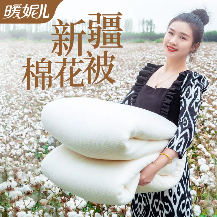 新疆直发方格网纱棉被芯加厚保暖棉花被子冬被加厚保暖8斤10斤