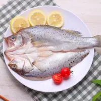 连云港发货新鲜三去海鲈鱼开背去鳞去内脏海鲈鱼500-600g/条*5条