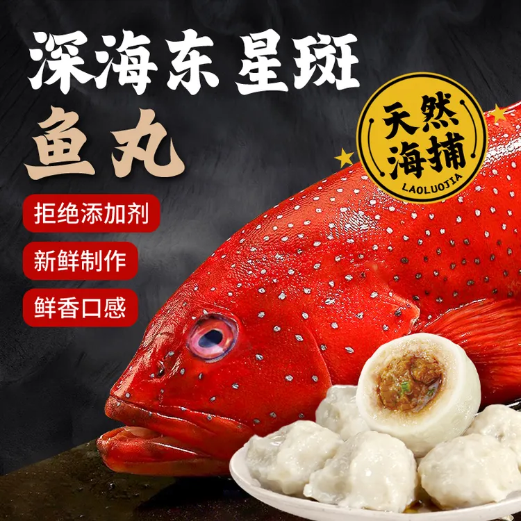 【东星斑黑猪】海捕东星斑鱼丸手工包黑猪肉鱼丸海鲜礼盒500克/盒商品图