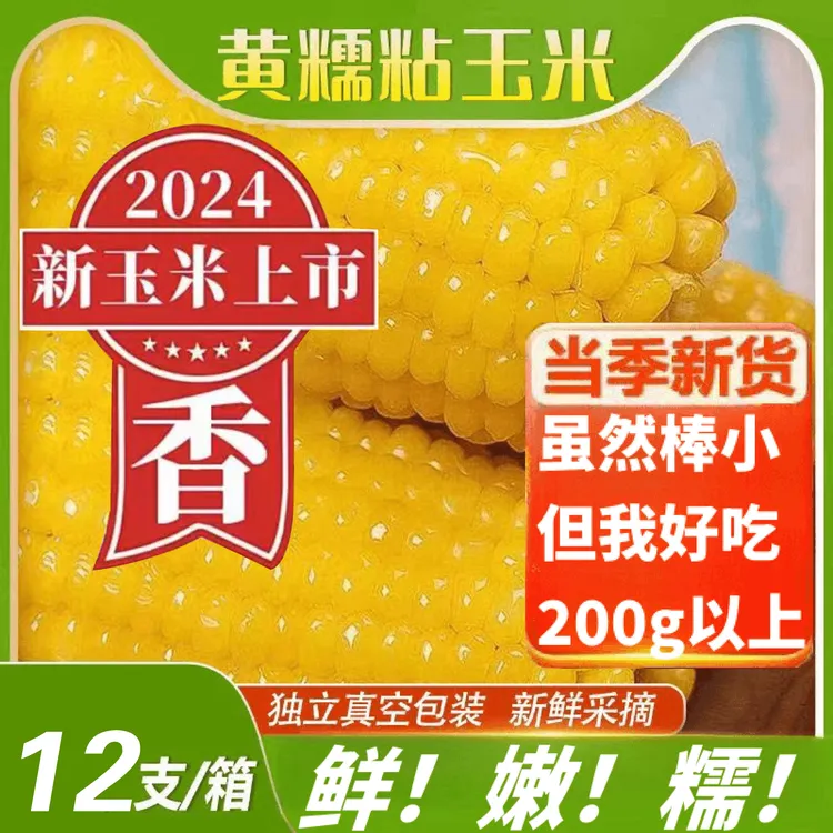 【试吃俩棒】东北头茬黄糯玉米真空包装单根不低于200g拍8送4共12棒