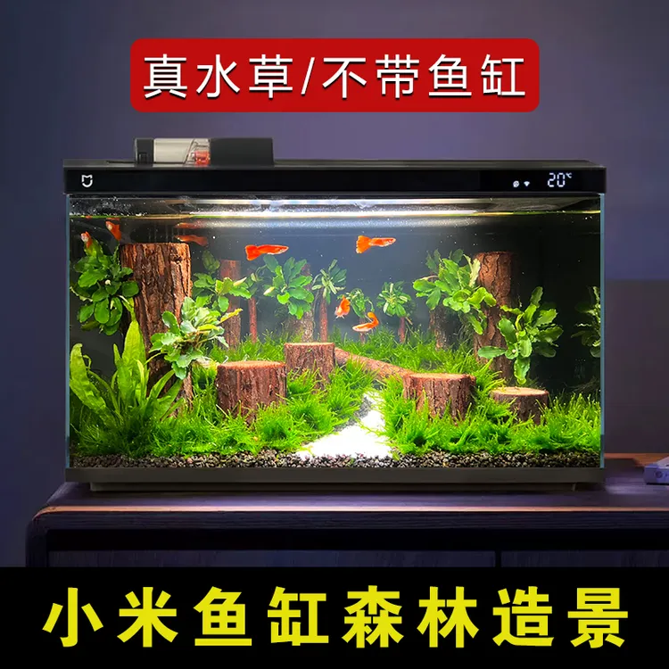 小米鱼缸造景生命之树南美沉木造景沉木树桩造景沉木鱼缸造景摆件