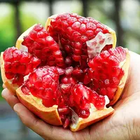 突尼斯软籽石榴6粒装3kg(单果500g+)(礼盒)红色款