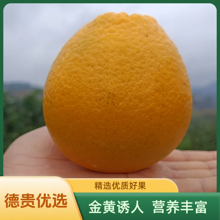 【富硒脐橙2斤试吃】正宗袁州富硒脐橙2斤带盒标准果试吃装直