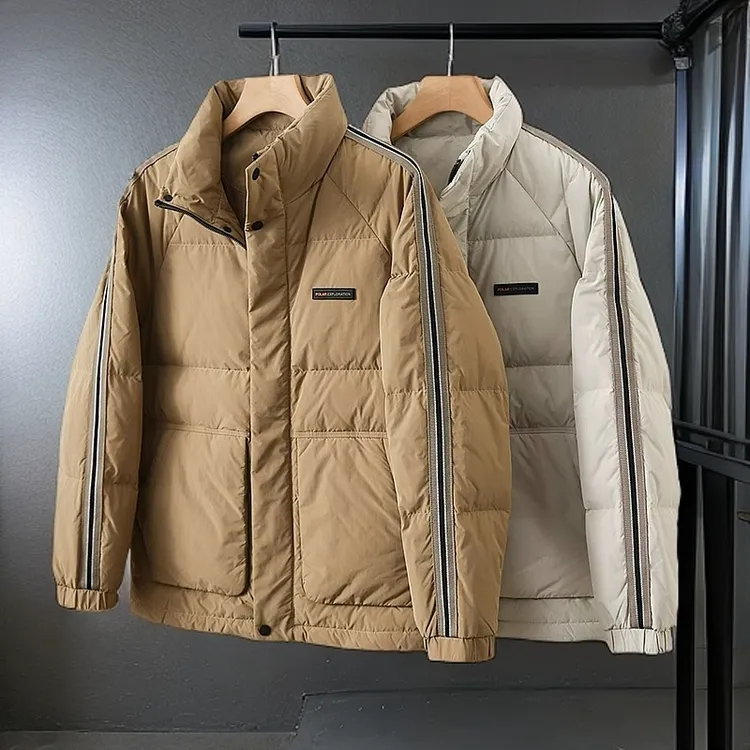 短款时尚休闲立领秋冬上衣厚款鸭绒百搭外套男士保暖羽绒服8066