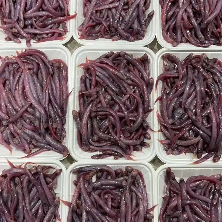 海钓黑头黄鱼等饵鱼拍一发8️⃣盘