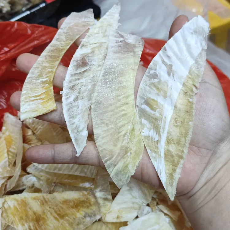 广东汕尾海味深海海翅边翅头肉鱼翅干货海鲜煲汤营养食材鳐鱼翅