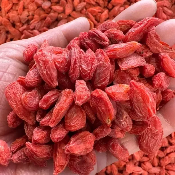 头茬新疆红枸杞大颗粒500克每包