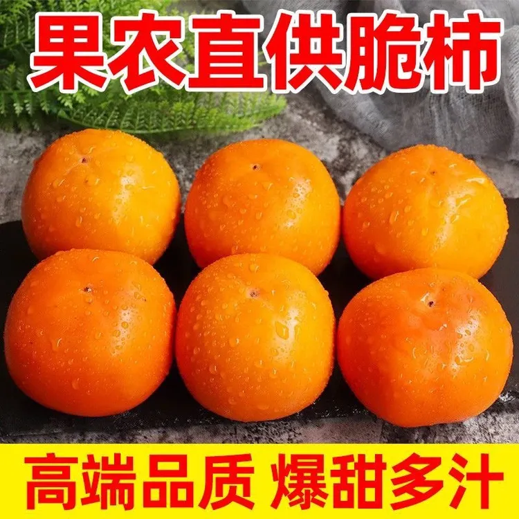 头茬脆甜柿子无核冰糖心云南高山脆柿新鲜应季孕妇水果批发巧克力