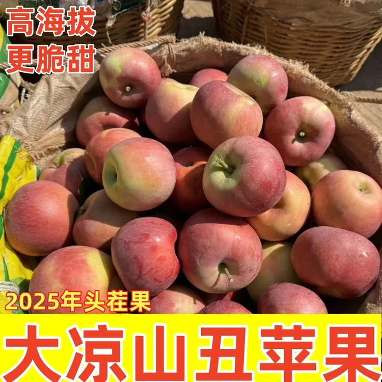 2025大凉山丑苹果新鲜当季现摘孕妇水果盐源冰糖心整箱包邮