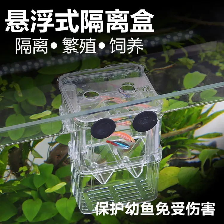 孔雀鱼繁殖盒幼鱼鱼缸隔离斗鱼鱼苗产卵器热带鱼亚克力孵化盒