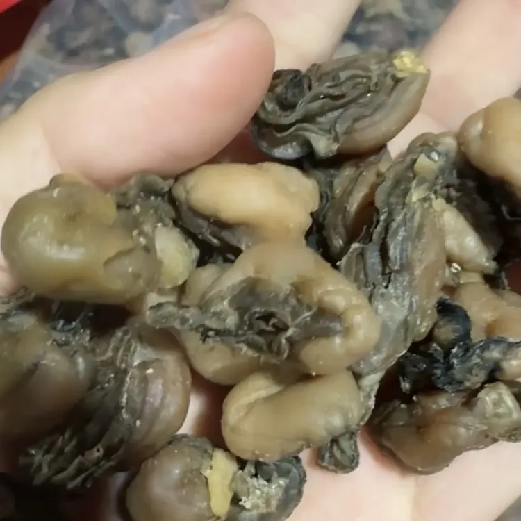 福建特产中大个海蛎干蚝豉生蚝干海鲜干货牡蛎肉