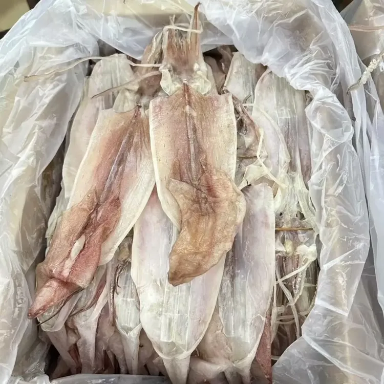 本港鱿鱼母干带卵带子海鲜干货渔民自晒煲汤煮粥炒菜炒饭