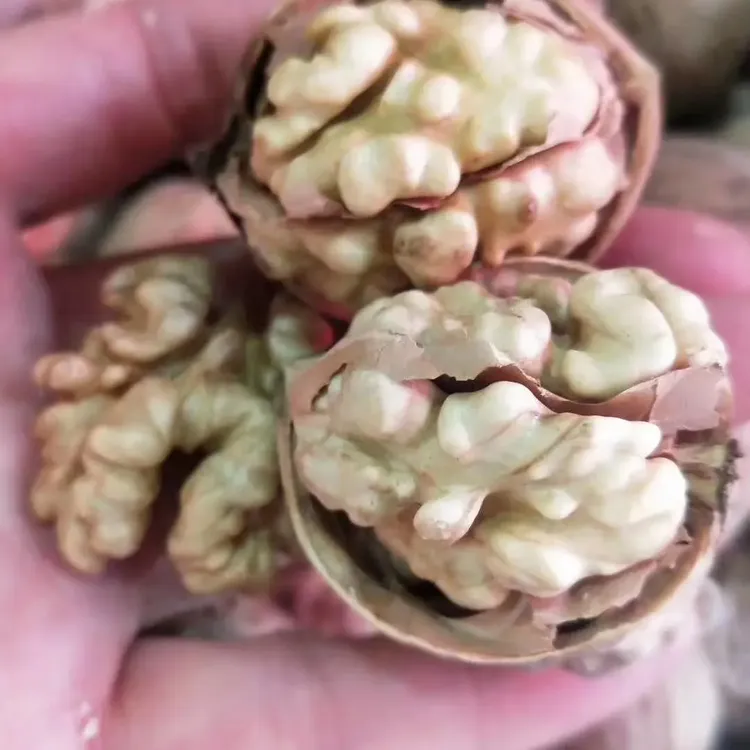 阿克苏薄皮核桃原色黑皮原味 自然晾晒无工业 有空瘪壳