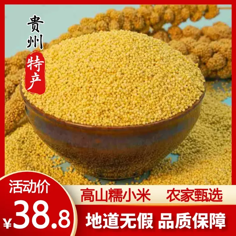 高山粗粮糙米2025新糯小米贵州高山黄米新米糯米