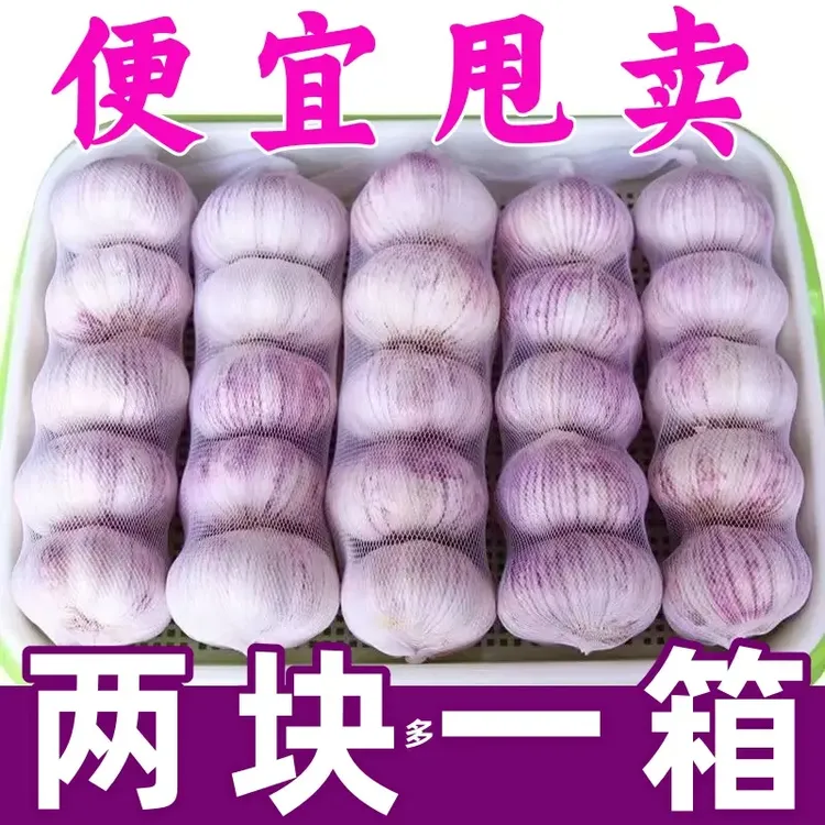 【清仓甩卖】山东金乡新干蒜紫白皮大蒜头大蒜批发精选紫白皮多瓣蒜