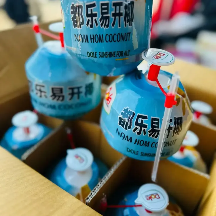 都乐易开椰9粒装清甜可口解渴清爽包邮到家