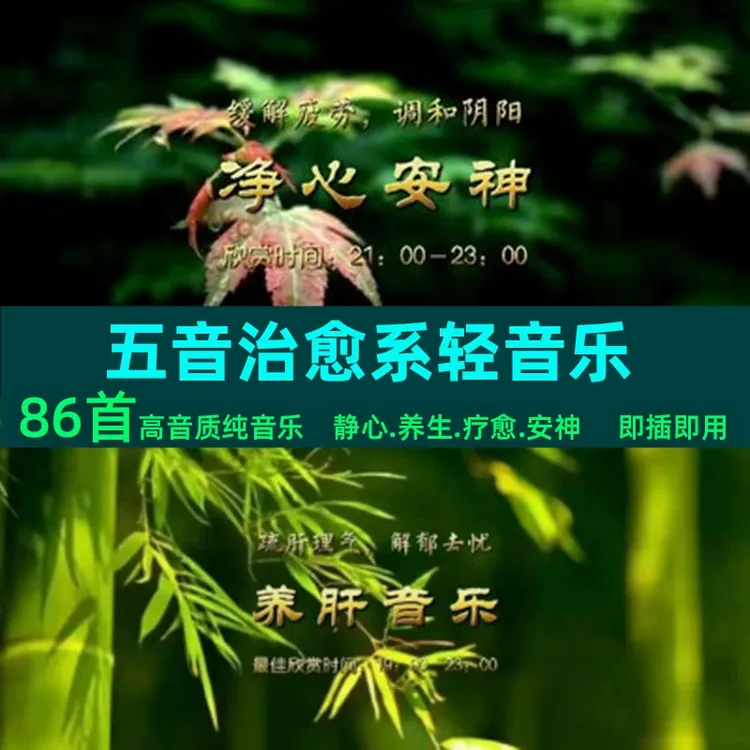 五音静心轻音乐u盘纯音乐MP3音频五音疗愈静心休闲轻音乐