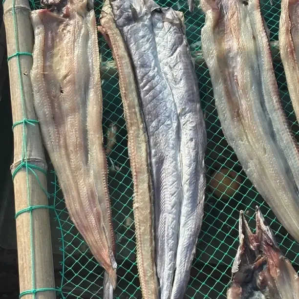 淡晒海鳗鱼干自家凉晒 钩鱼片3斤