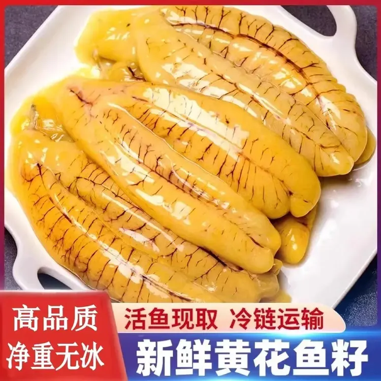 黄花鱼籽新鲜冷冻大黄鱼籽鱼蛋鱼卵鲜活连云港海鲜水产大鱼籽顺丰