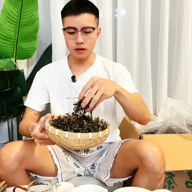 云南古树普洱昔元古树生散茶口感醇厚高级生普洱茶日常品饮