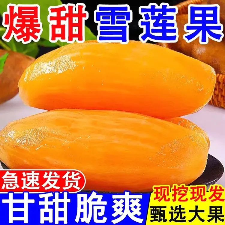 正宗特级云南天山雪莲果应季水果新鲜低糖红心现挖脆甜多汁大果