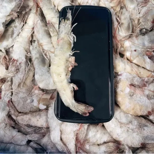 3040规格厄瓜多尔盐冻海水大虾新鲜美味