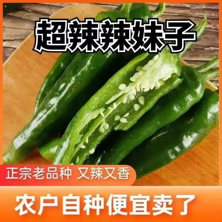 【爆辣】辣妹子辣椒新鲜薄皮辣椒香辣脆嫩农家自种现采现发