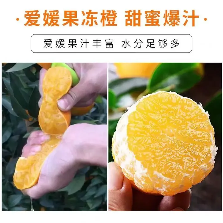 秭归脐橙爱媛38号果冻橙新鲜当季水果现摘一口爆汁香甜泡沫箱包邮
