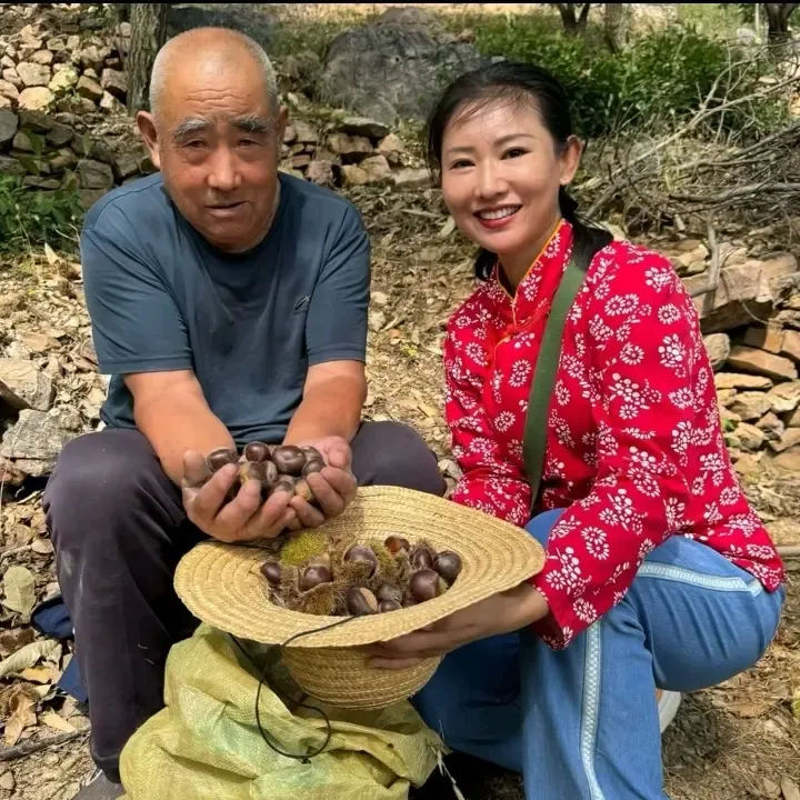 沂蒙山板栗新鲜饱满大果皮薄好剥笨栗子粉糯香甜产地现摘坏果包赔