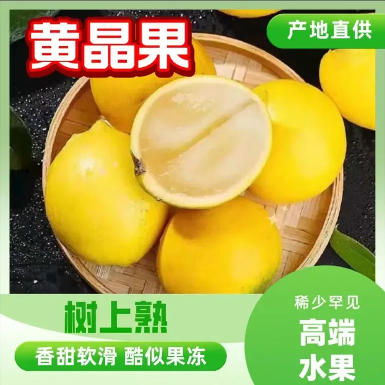 云南西双版纳黄晶果果园直采现发树上牛奶果水果胶原顺丰包邮鲜果