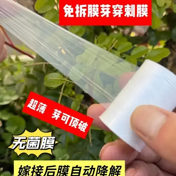 超薄无菌膜膜拍一发三芽穿刺免拆自动降解果树盆景花卉金弹子通用