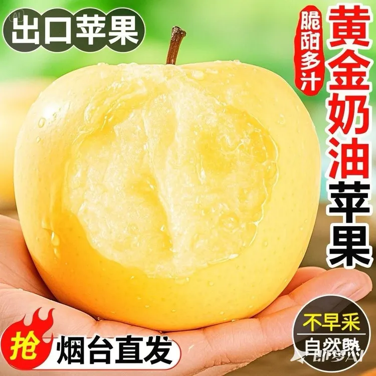 【山东烟台奶油苹果】当季新鲜现摘甜苹果脆甜多汁香甜可口坏损包赔