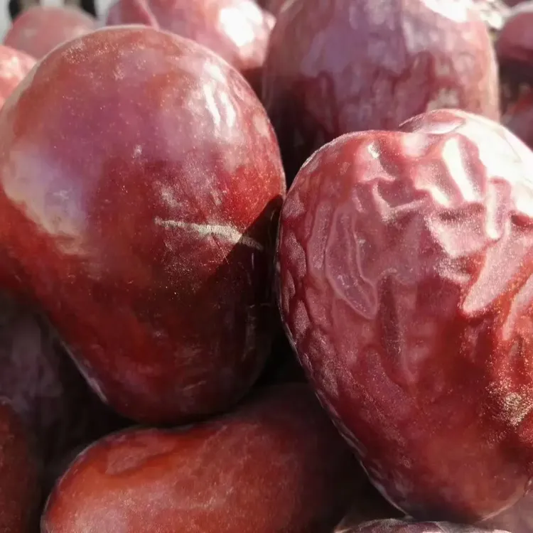 【新疆原产地包邮直发】新下树和田大枣原生态吊干未清洗