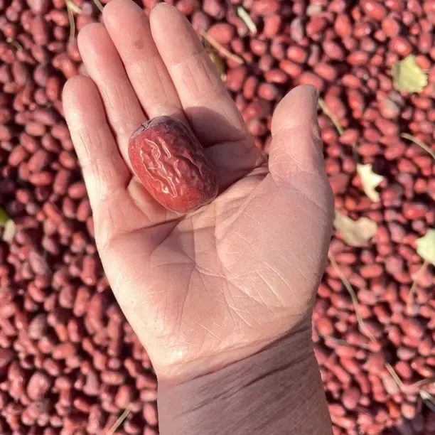 大枣未清洗带土红枣