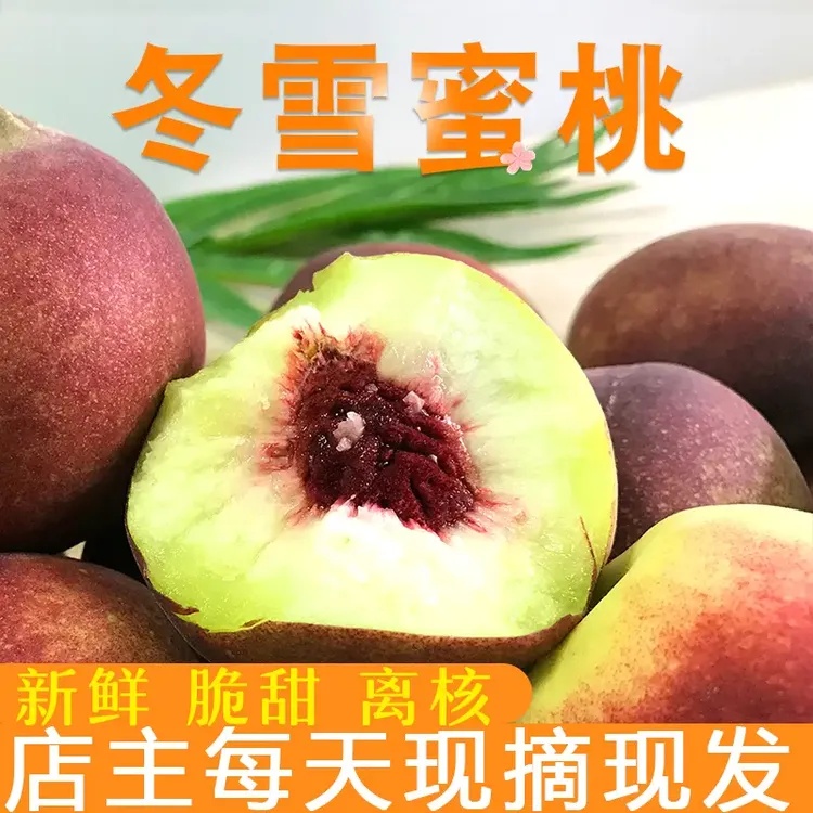 正宗山东冬雪蜜桃青皮小毛桃脆冬桃新鲜脆甜离核当季水果产地直发商品图