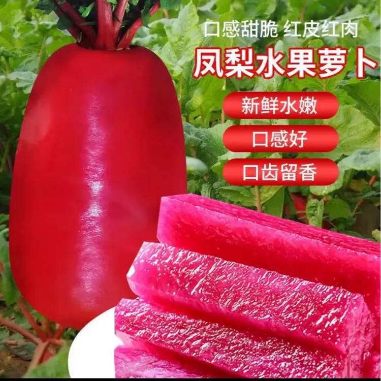 【凤梨水果萝卜种子】红皮红肉萝卜种籽四季甜脆农家家庭蔬菜种子商品图