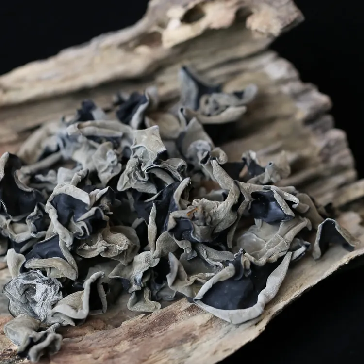 大别山桑枝黑木耳岳西高山黑木耳农家自种桑枝黑木耳干货土特产
