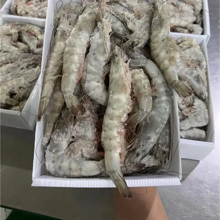 大号速冻海虾新鲜盐冻海水大虾净重3斤