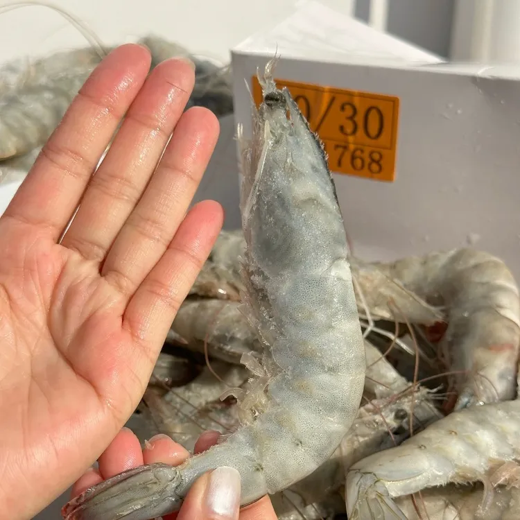 特大号2030海水大虾 3斤/盒大虾 厄瓜多尔南美白对虾30-45只 海虾